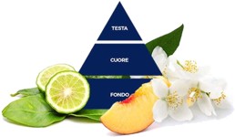 felce azzurra fresco mini