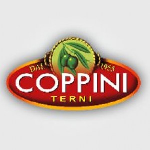 580120_441637602533201_2010493482_n