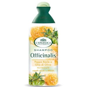 Шампунь L'Angelica для сухих и ломких волос 300 мл